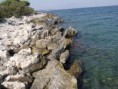 /album/fenykepgaleria/kep-108-jpg/